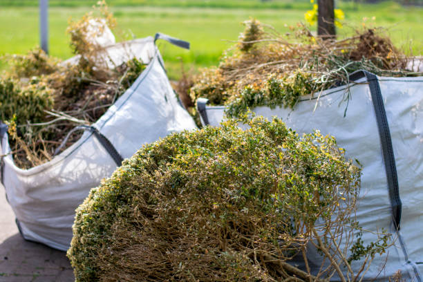 Trusted Toro Canyon, CA Junk Removal Services Experts